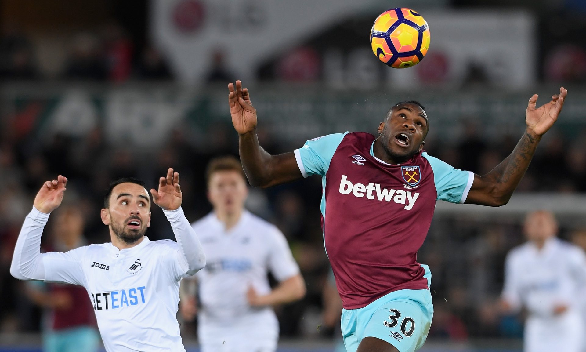 动有望成为 动有望成为